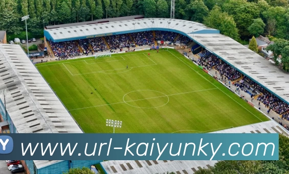 开云体育服务体系